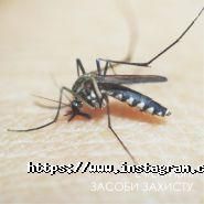 Родина, мережа медичних центрів фото