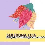 Career English School, мовний центр фото