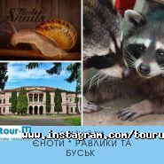 Tour-U, туристичне агентство фото