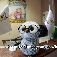 Хогвартс, центр раннього розвитку дітей фото