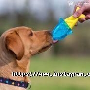 Немо, зоомагазин фото