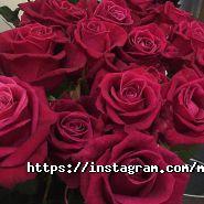 Moymay, квіткова майстерня фото