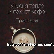 Соляна Фортеця, фітобар фото