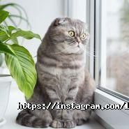 Люкс вікна, установка вікон фото