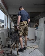 Tactical Gear, тактичне спорядження і одяг фото