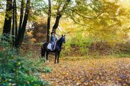 Кінні прогулянки фото