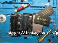 Pine Apple, торгово-сервісний центр фото