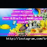 Travel Mania, туристична компанія фото