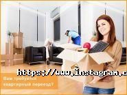 Мій Перевізник, транспортна фірма фото