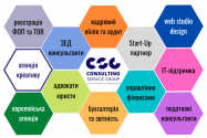 Консалтінг Сервіс Груп, консалтинг для бізнесу фото