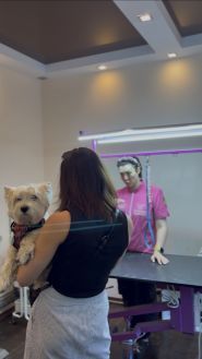 Pet Center, клиника ветеринарной медицины фото