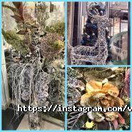 Ювента, центр краси і здоров'я фото