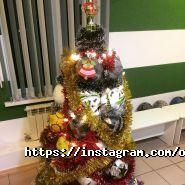 Olzha Sports, компания по аренде футбольных полей фото