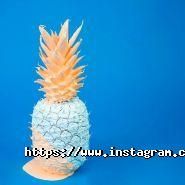 Optimizm, студія веб-дизайну фото