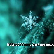 Optimizm, студія веб-дизайну фото