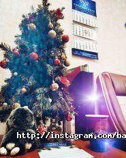 Снєжний барс, адвокатське об'єднання фото