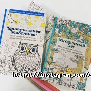 ЭРУДИТ, книжный магазин фото