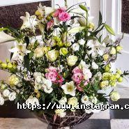 Будинок Квітів, магазин-студія фото