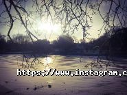 Apollo hotel, міні-готель фото