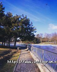 Apollo hotel, міні-готель фото