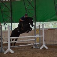 Парадиз, кінний клуб фото