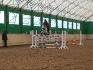 Парадиз, кінний клуб фото