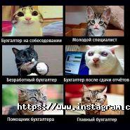 Bas, сертифіковані курси фото