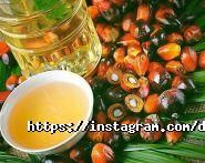 Динаміка, фітнес-клуб фото