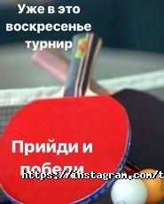 Summer, клуб настільного тенісу фото