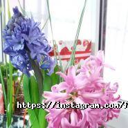 Академія мистецтв фото