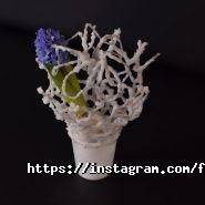 Академія мистецтв фото