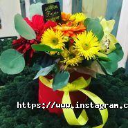 Fiorina, флористика фото