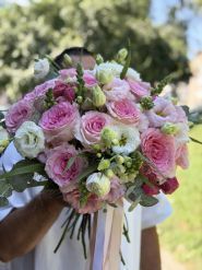 kvitu lutsk fiori, цветы фото