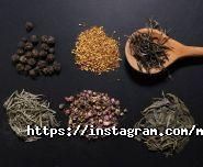 Світ трав фото