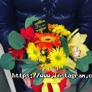 Fiorina, флористика фото