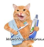 Студія 32, стоматологічний кабінет фото