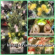 Ювента, центр краси і здоров'я фото