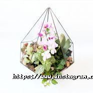 AgroVinn, интернет-магазин товаров для сада фото