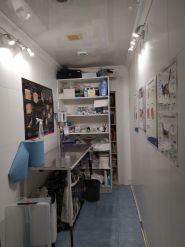 Амулет, ветеринарная клиника врача Журина И.В. фото