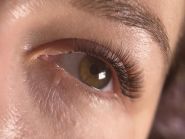 Lash&Brow zone, студія корекції брів фото