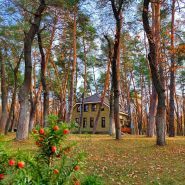 Kohavi Forest Club, готель-ресторан фото