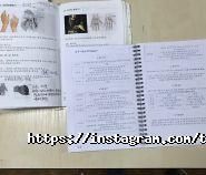 2up, компанія фото