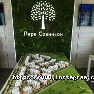 Соло Естейт, агентство нерухомості фото