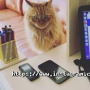 Висотник, база відпочинку фото