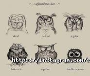 Сервіс Дніпро фото