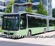 Brain, мережа магазинів фото