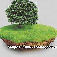 Адвокат Іващенко Мирослава фото