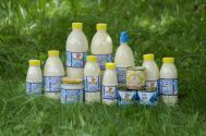 Love Luka Надія-В, виробник молочних продуків фото