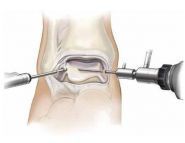Центр ендопротезування та артрології, медична клініка фото