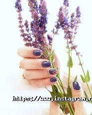 Лак, студія краси фото